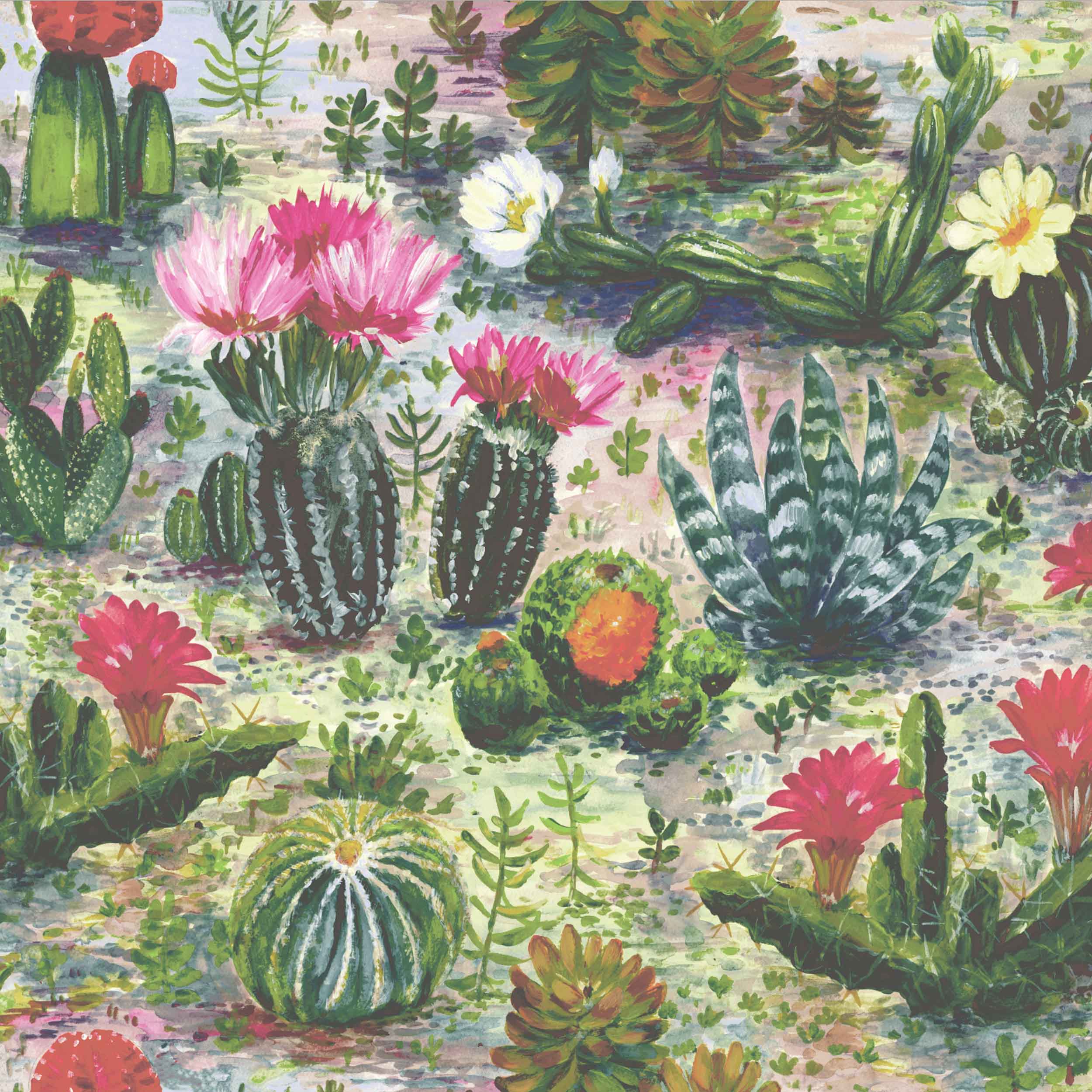 Cacti Multi Wallpaper by Woodchip & Magnolia