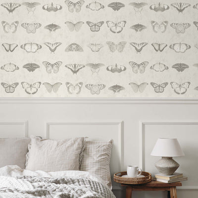 Lepidoptera Magnolia Wallpaper