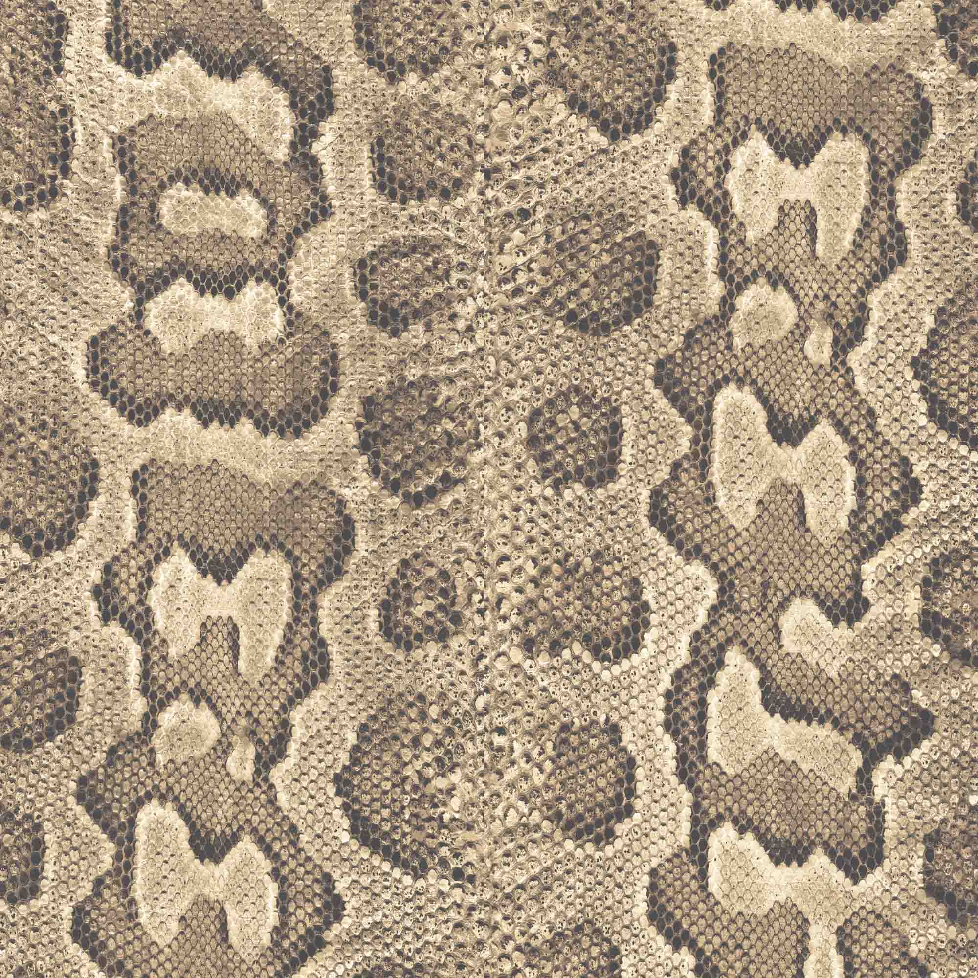 Love Her Madly in Python Wallpaper Animal Print, Snake Skin, Brown ...